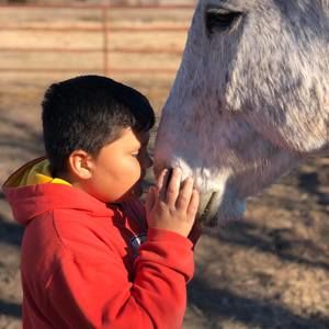 Meet your Posher, Lexi